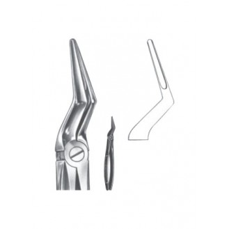 Extracting Forceps - English Pattern