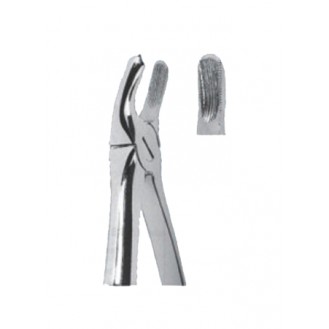 Extracting  Forceps For Children - English Pattern