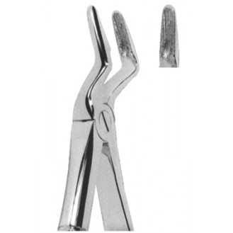 Extracting  Forceps - English Pattern