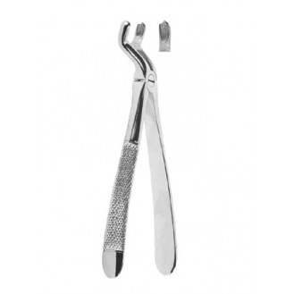 1-Extracting Forceps - English Pattern