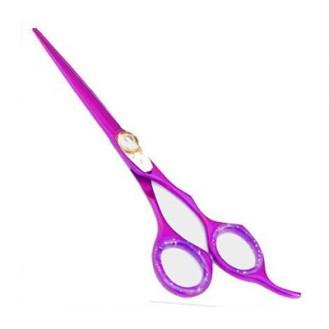 Professional Hair Cutting Scissors