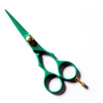 Professional Hair Cutting Scissors