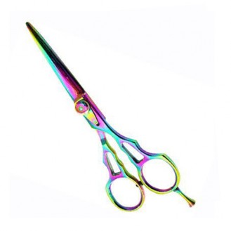 Professional Hair Cutting Scissors