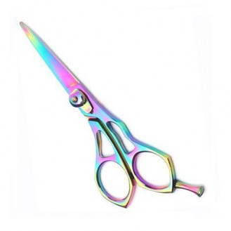 Professional Hair Cutting Scissors