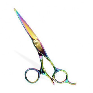 Professional Hair Cutting Scissors