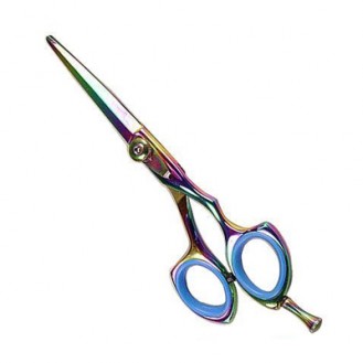 Professional Hair Cutting Scissors