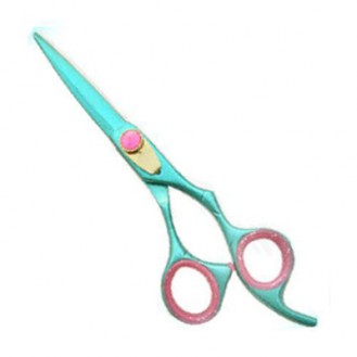 Professional Hair Cutting Scissors